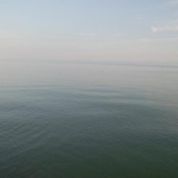 キスの他にアイナメが釣れましたー