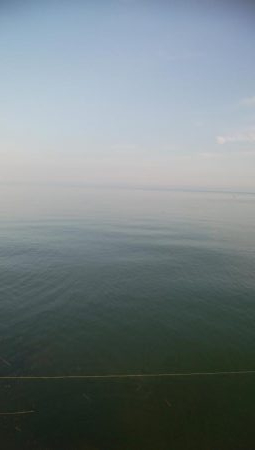 キスの他にアイナメが釣れましたー