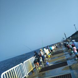 南港魚つり園でタコジグとサビキ