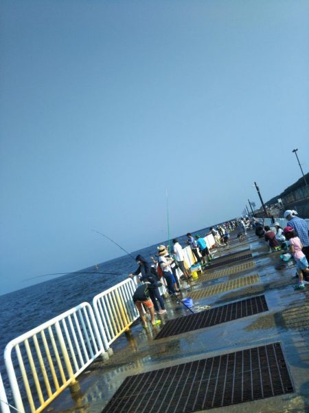 南港魚つり園でタコジグとサビキ