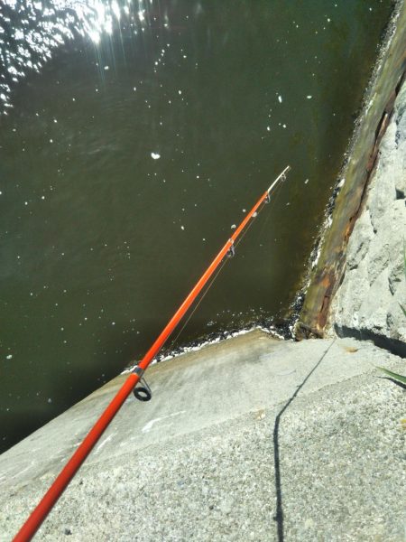 南港シーサイドコスモ