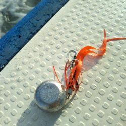 明石で鯛ラバとジギング