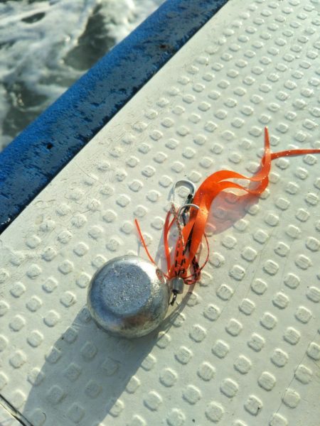 明石で鯛ラバとジギング