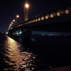 南港カモメ大橋ヘチ釣行 (キビレ40cm、27cm 釣果)