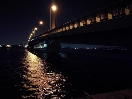 南港カモメ大橋ヘチ釣行 (キビレ40cm、27cm 釣果)
