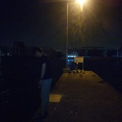 南港フェリーターミナルで夜釣り