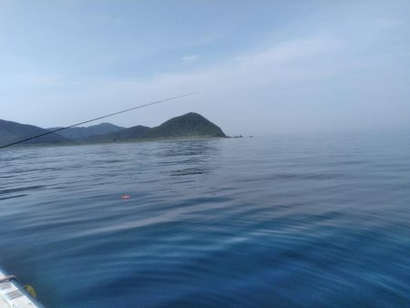 かかり釣りで鯖・・