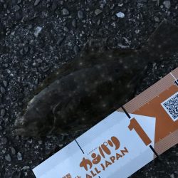 ガッシーマンション2nd