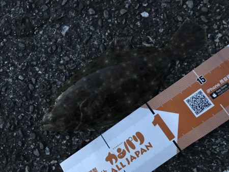 ガッシーマンション2nd