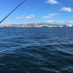 コスモスクエア　タコいまいち