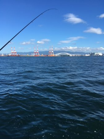 コスモスクエア　タコいまいち