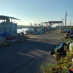 何とか釣れました