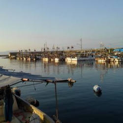 僕の夏休み(パート1)