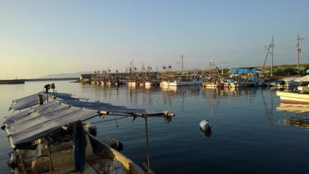 僕の夏休み(パート1)