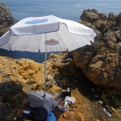 暑さにも負けず‼