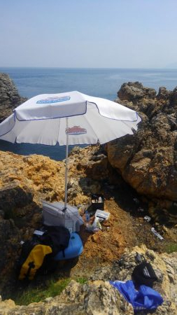 暑さにも負けず‼