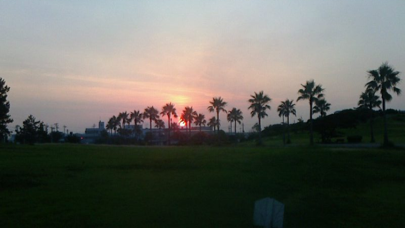 青物とボラを間違えて・・・