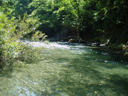 渓流ミノーイング