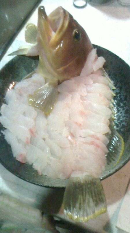 ｱｵﾊﾀの接岸有り