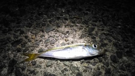 ハズレの日！？