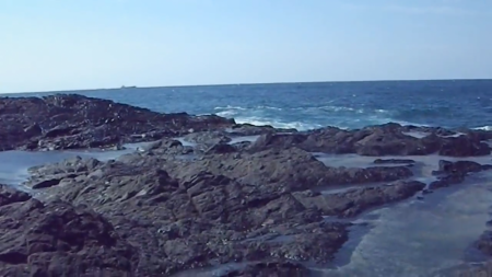 地元最高です！