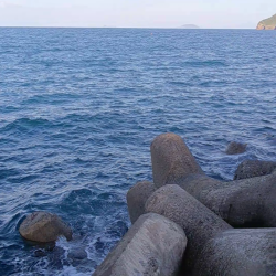 ショアジギング!