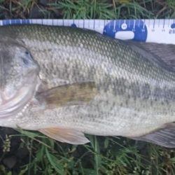 増水してももカバー奥にピッタリ