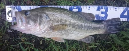 増水してももカバー奥にピッタリ