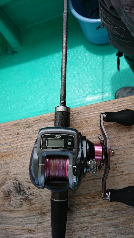 五目釣りで大鯛(泉州丸)