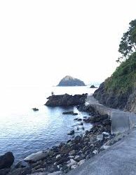 短時間釣行でしたが、本命アコウ釣れました