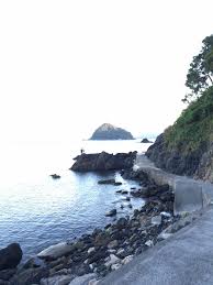 短時間釣行でしたが、本命アコウ釣れました