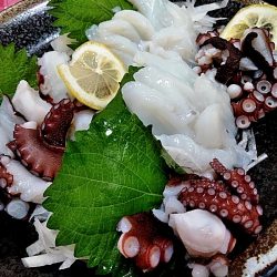 淡路沖の船タコ釣り