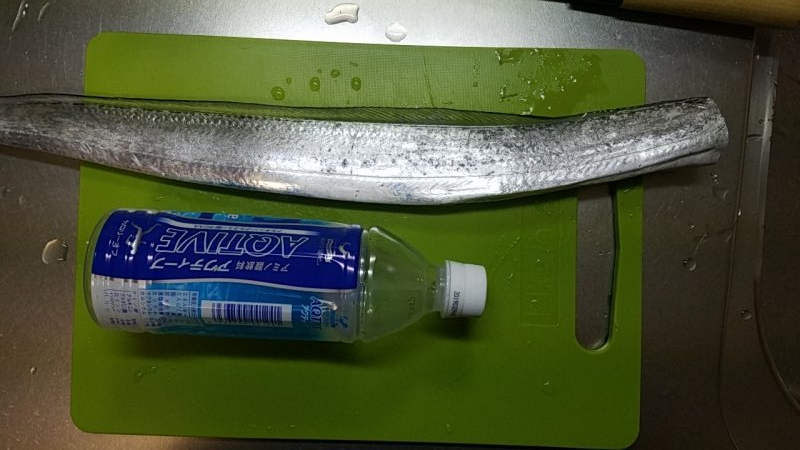 大サバ狙いのはすが…