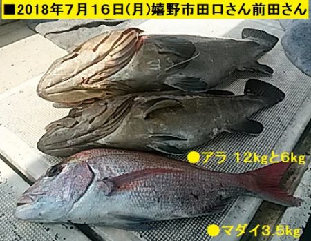 大物釣果速報！●光義丸：平戸市早福港