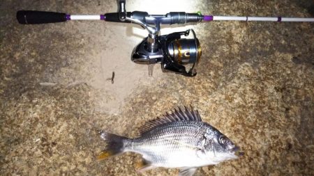 震災後の淀川調査