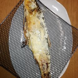 美味しいウグイ