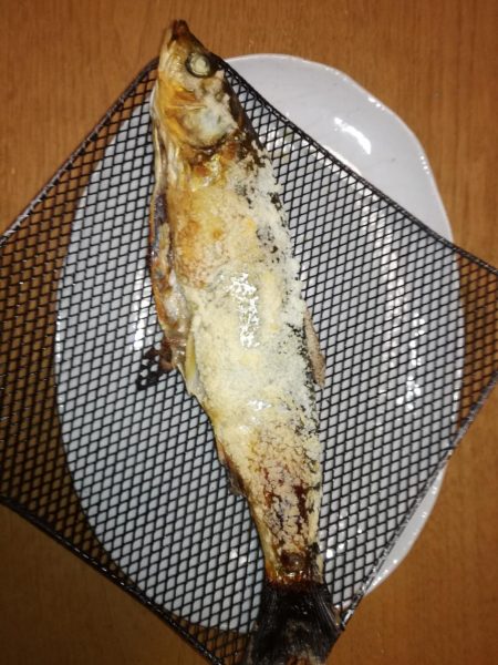 美味しいウグイ