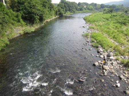 狩野川(狩野川漁業協同組合) 釣果