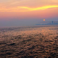 ハズレの日！？