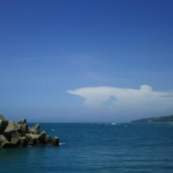 いろいろ釣れました