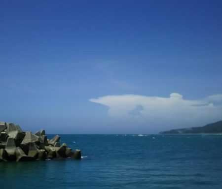 いろいろ釣れました