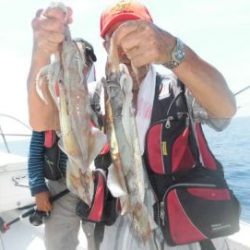 スルメイカ釣り