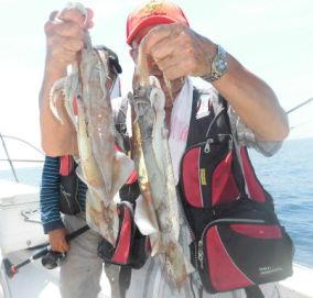 スルメイカ釣り