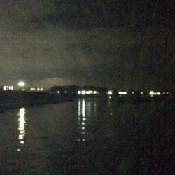 アナゴ  たくさん釣れました〜