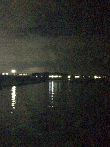 アナゴ  たくさん釣れました〜