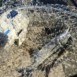 テトラで落とし込み