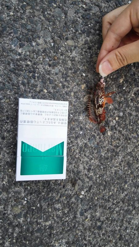 スーパーライトゲーム