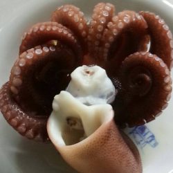 本日はカサゴ２匹と太刀魚狙いでの小鯖のみ