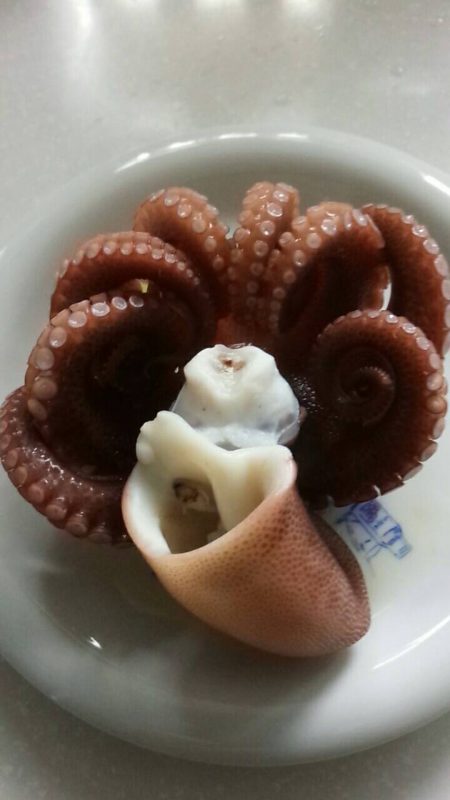 本日はカサゴ２匹と太刀魚狙いでの小鯖のみ