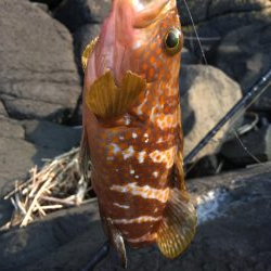 ライトショアスロー